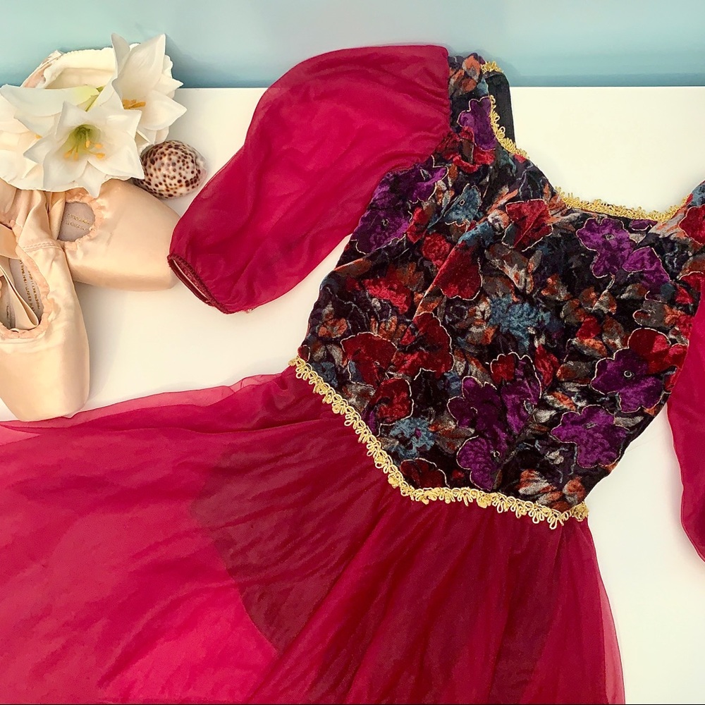 *Floral Velvet and Shear Ballet Costume* - Picture 1 of 5